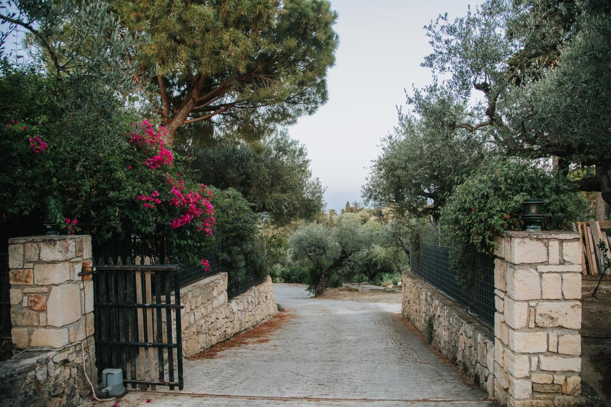 Orama Stone Apartments - Authentic Hospitality In A Historical Location, By Zantewize מראה חיצוני תמונה