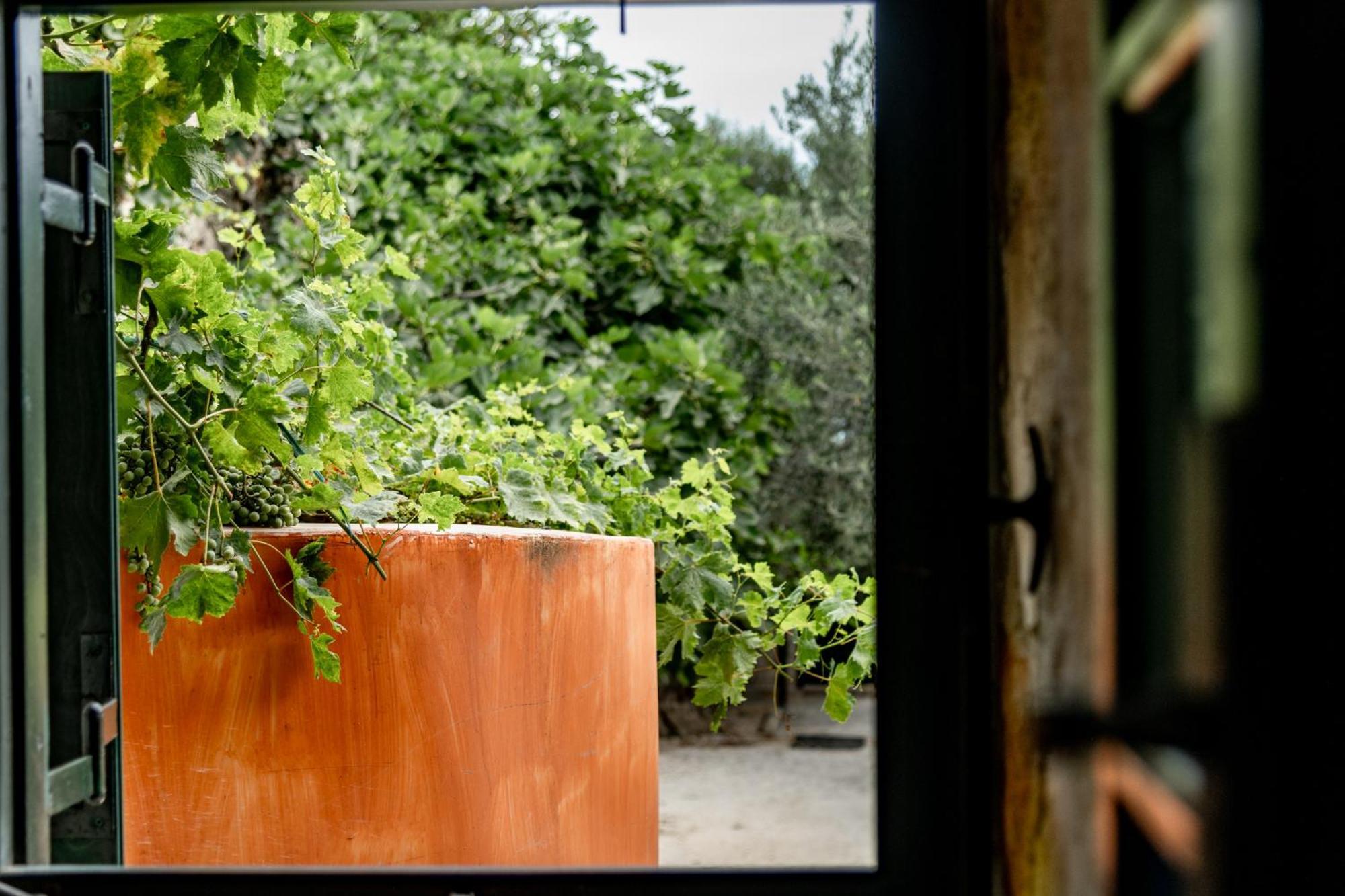 Orama Stone Apartments - Authentic Hospitality In A Historical Location, By Zantewize חדר תמונה